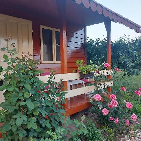 Pensiunea Raluca Mahmudia Zewnętrze zdjęcie